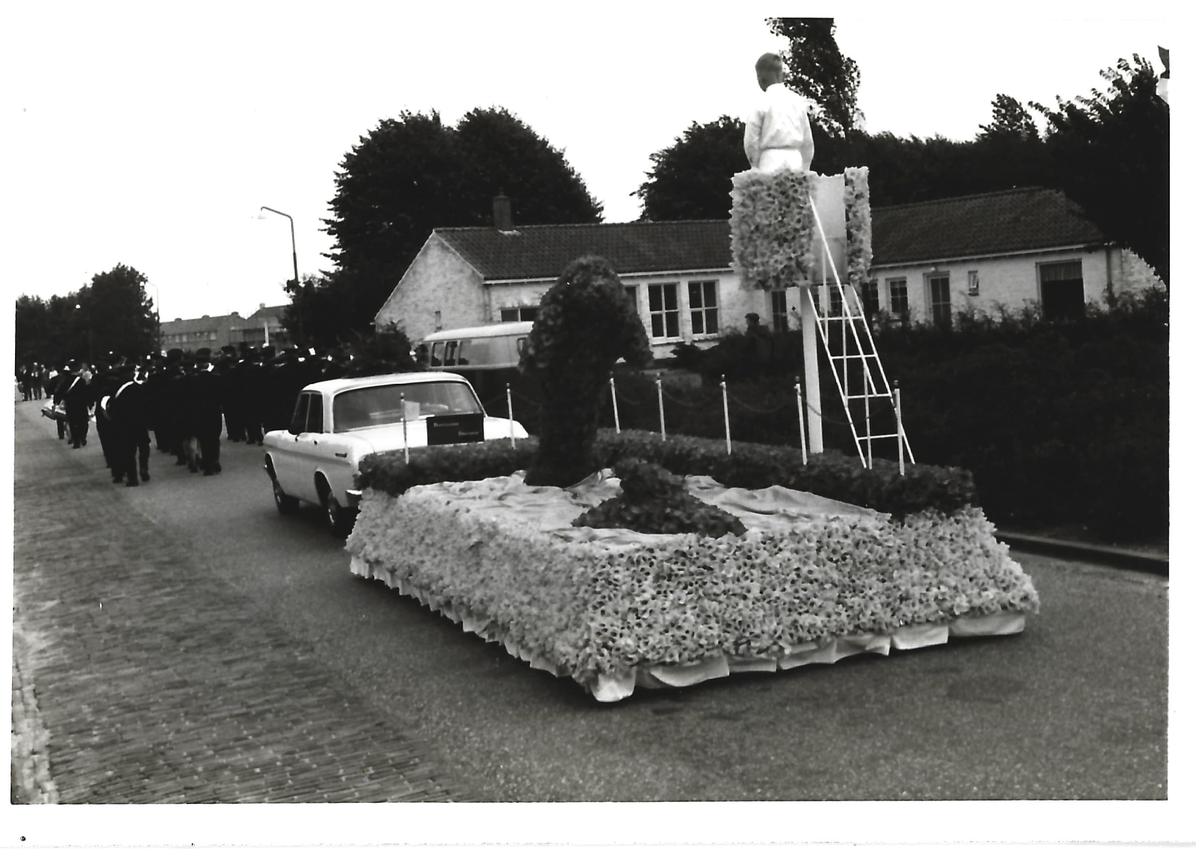 Dartelende Dolfijnen