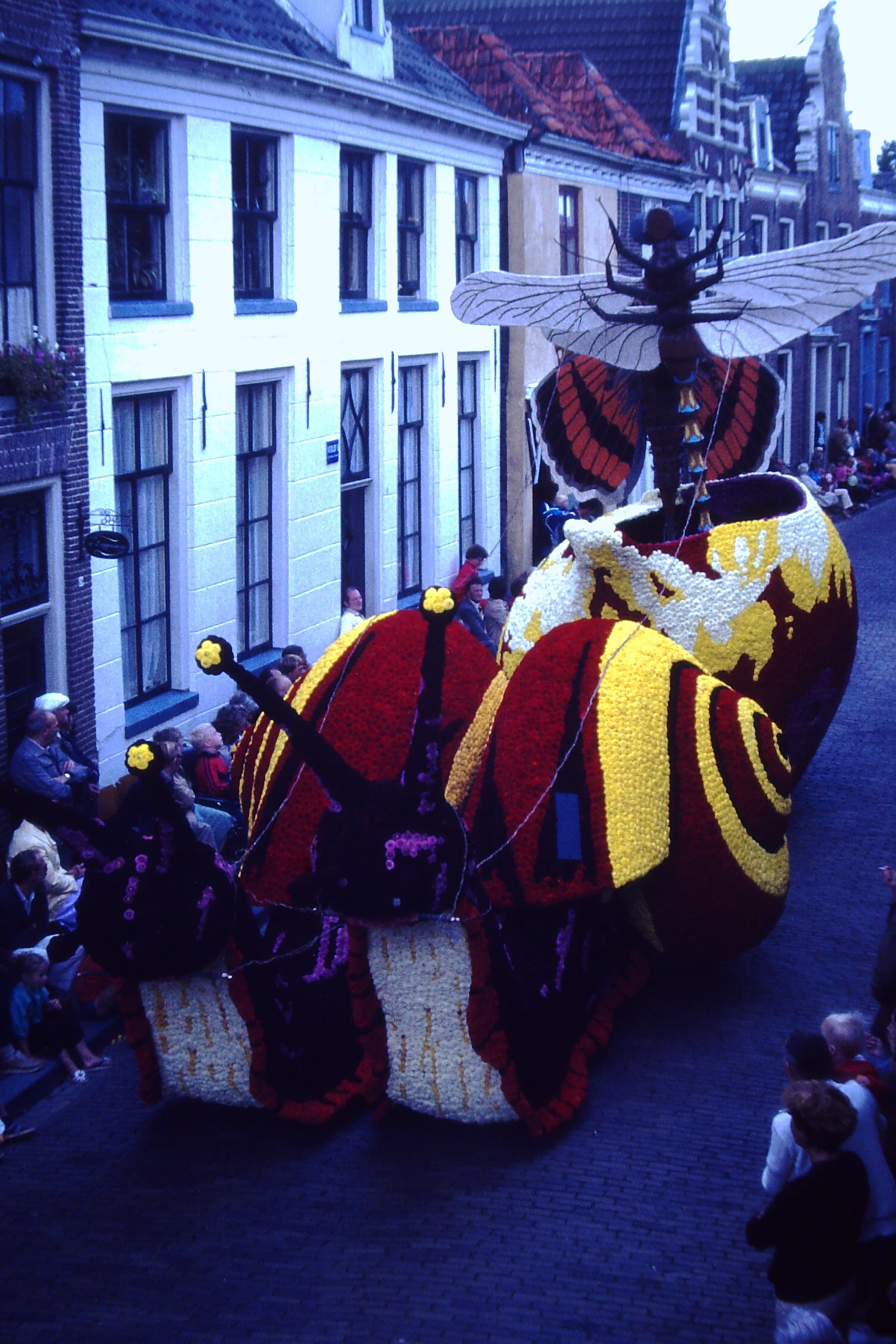 Avontuur van een Vlinder