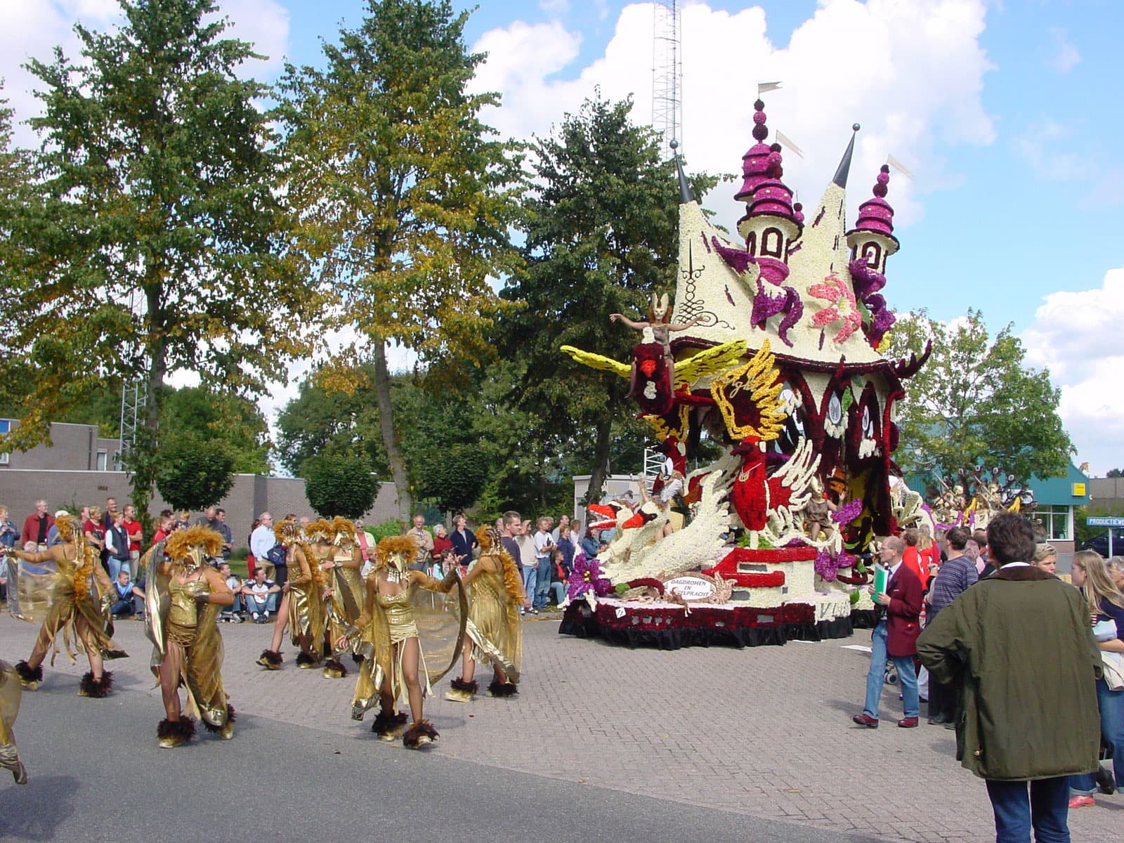 Dagdromen in Vogelpracht
