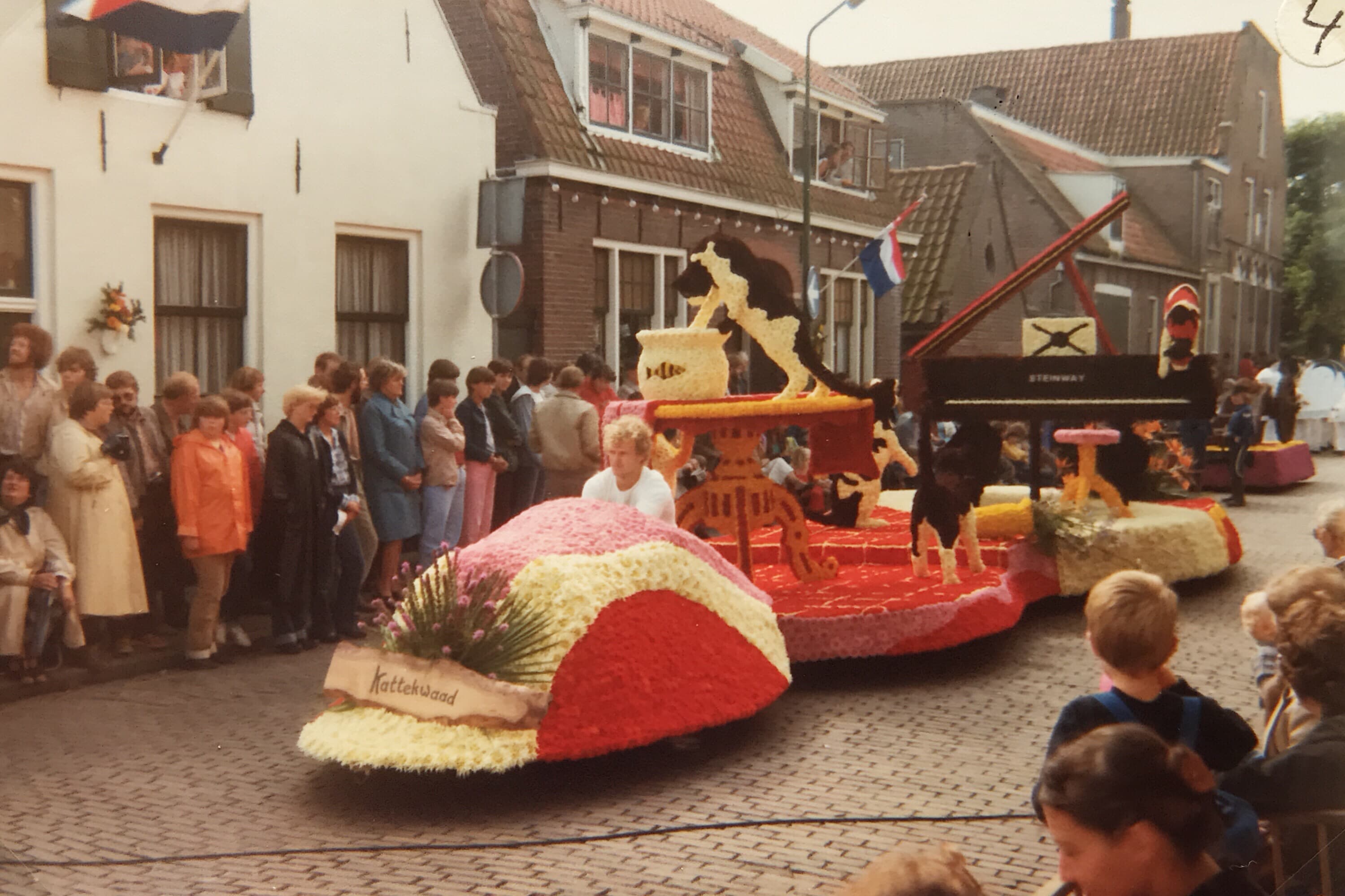Kattekwaad